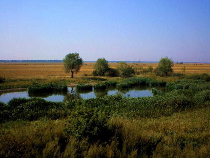 Кириківка з panoramio.com - Кириківка