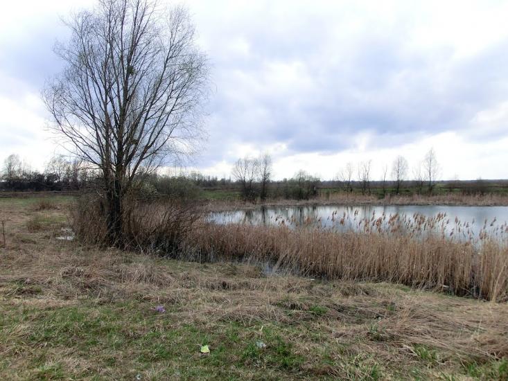 Загальці з panoramio.com - Zagaltsi