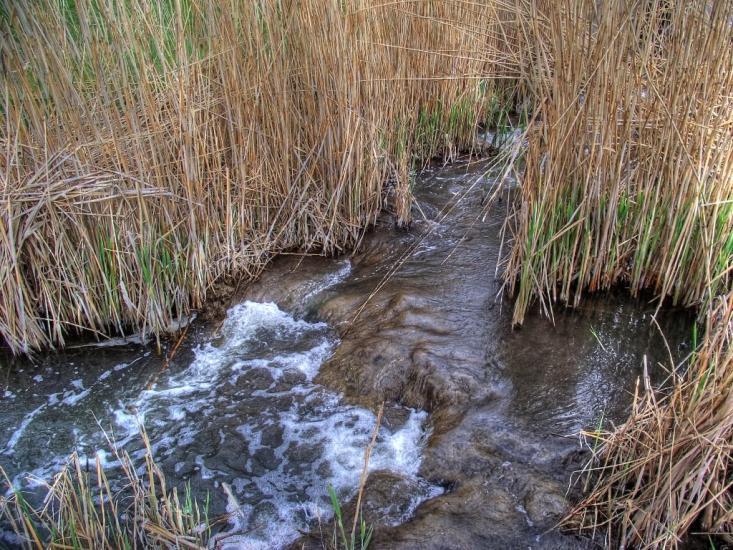 Старомихайлівка з panoramio.com - Старомихайлівка