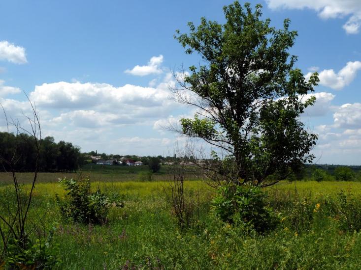 Олександрівка з panoramio.com - Александровка