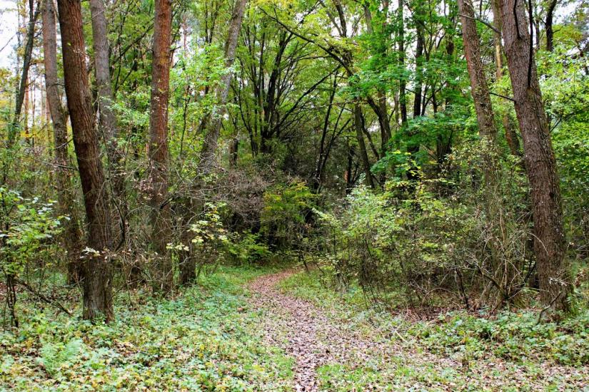 Житомир з panoramio.com - Житомир