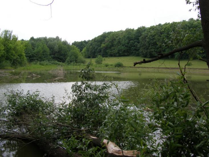 Сатанівка з panoramio.com - Сатановка