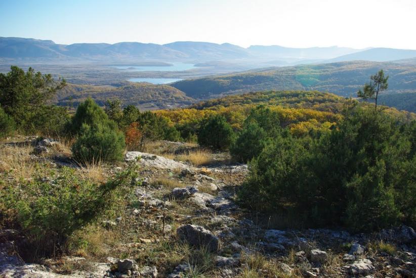 Новобобрівське з panoramio.com - Новобобровское