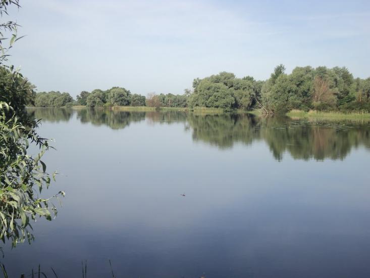 Дмитрівка з panoramio.com - Дмитровка