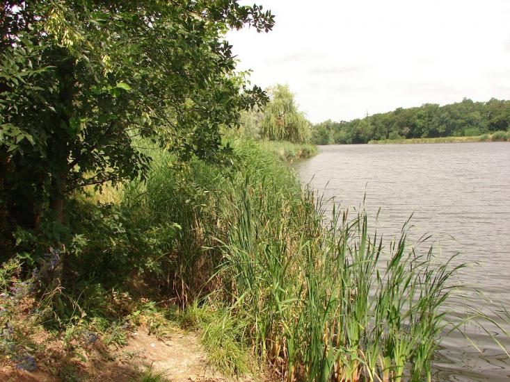 Новий Донбас з panoramio.com - Novyy Donbas