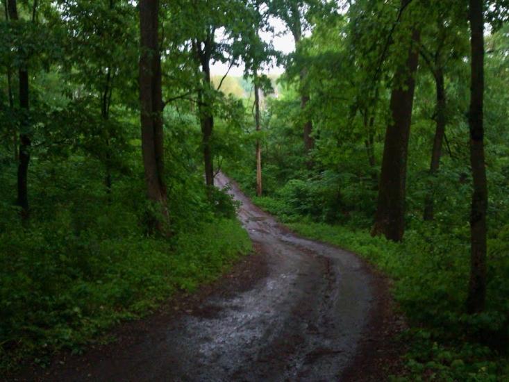 Кияниця з panoramio.com - Кияниця