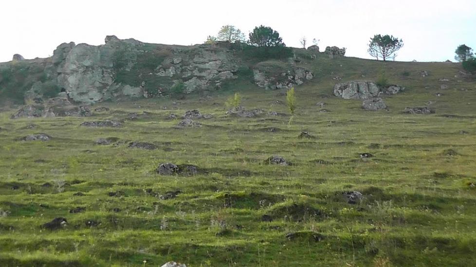 Кутківці з panoramio.com - Кутковцы