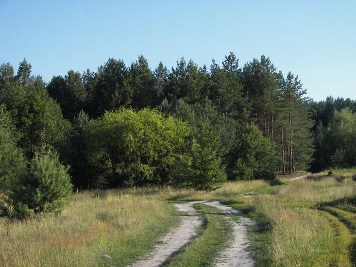 Пилява з panoramio.com - Пилява