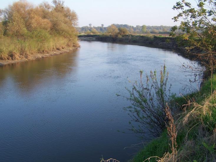 Пархоменкове з panoramio.com - Пархоменково