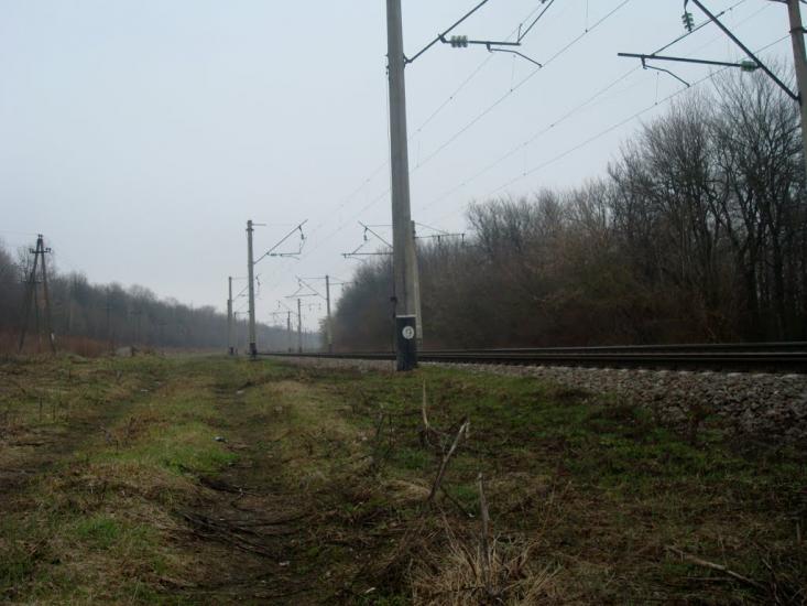 Васютинці з panoramio.com - Васютинці