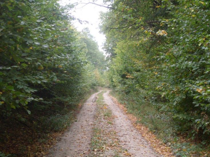 Чечелівка з panoramio.com - Чечелівка