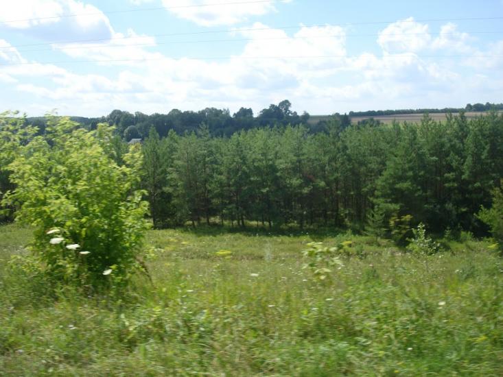 Михайлівка з panoramio.com - Михайловка