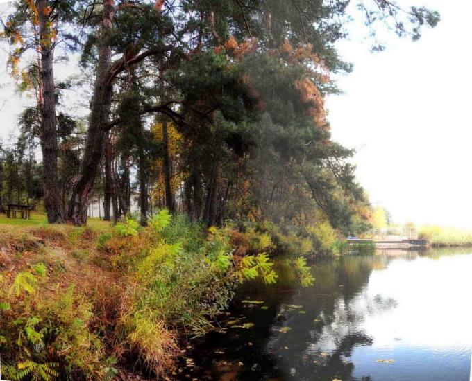 Плюти з panoramio.com - Плюты