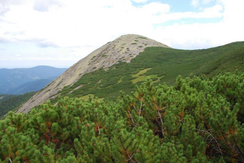 Черник з panoramio.com - Черник