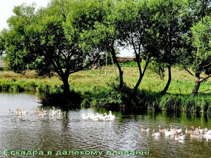 Стрільче з panoramio.com - Стрельче