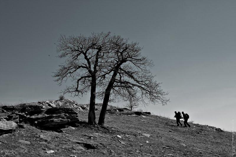Перевальськ з panoramio.com - Perevalsk