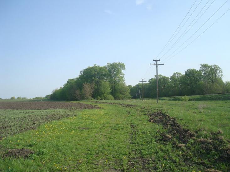 Вербівці з panoramio.com - Вербовцы