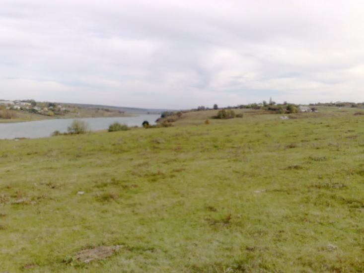 Питомник з panoramio.com - Питомник