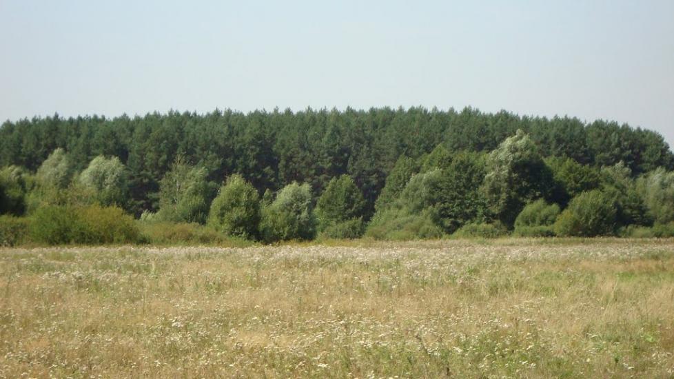Старикове з panoramio.com - Стариково