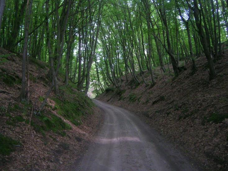 Лук'янівка з panoramio.com - Лук'янівка