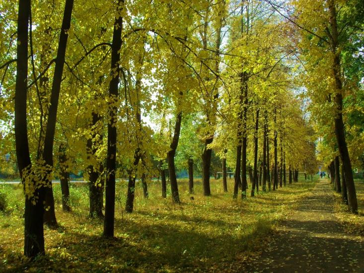 Первомайський з panoramio.com - Pervomayskyi