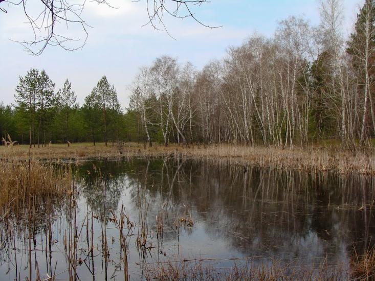 Ярова з panoramio.com - Яровая