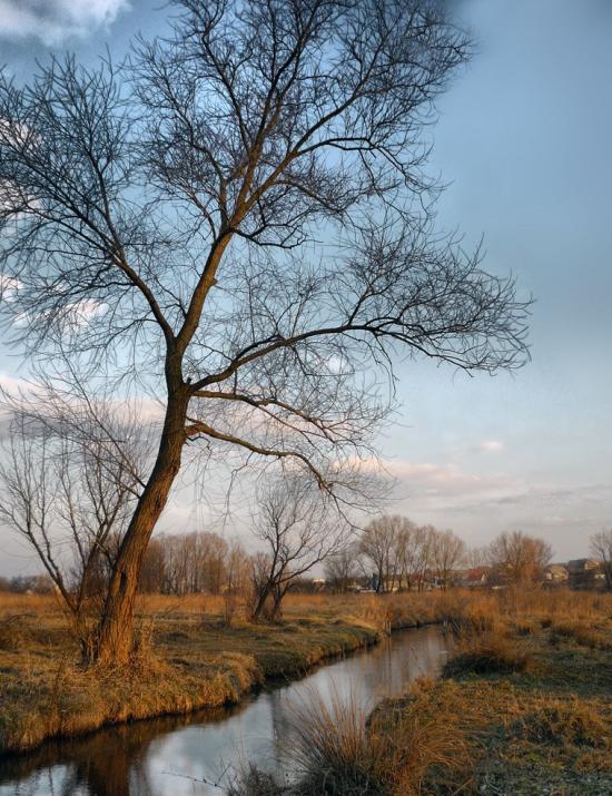 Біленьке з panoramio.com - Біленьке