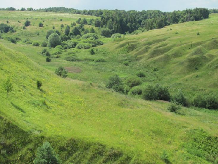 Дермань Перша з panoramio.com - Дермань Перша