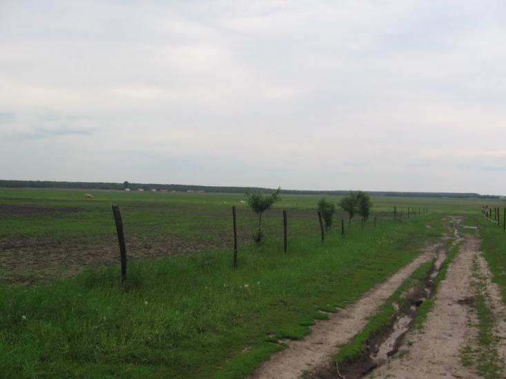 Рівнопілля з panoramio.com - Rivnopillya