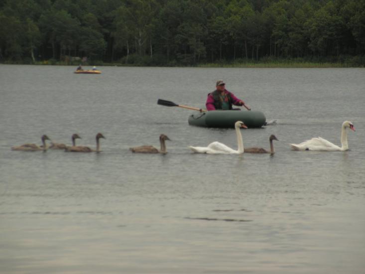 Заозерне з panoramio.com - Заозерне