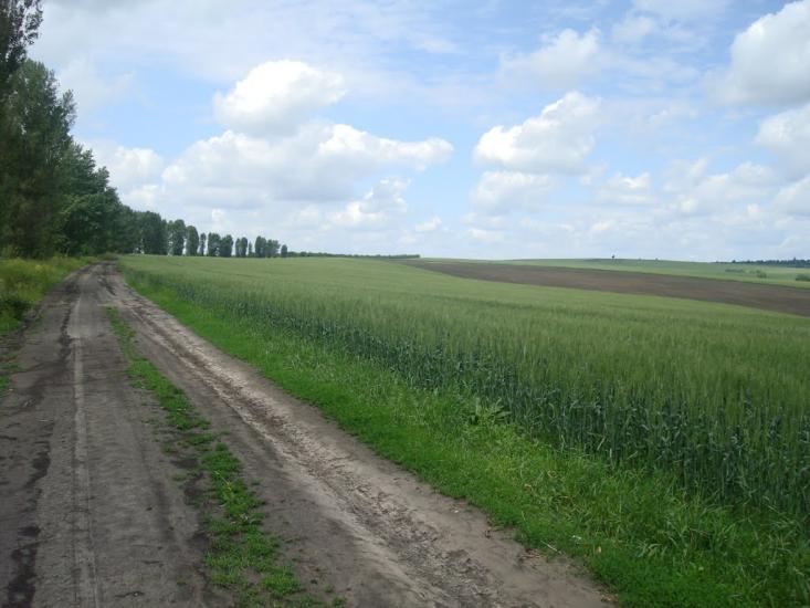 Давидківці з panoramio.com - Давыдковцы