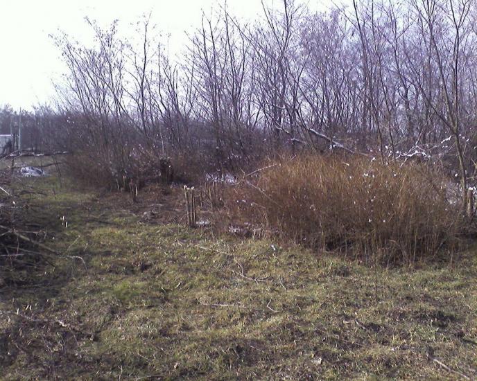 Нове з panoramio.com - Новое