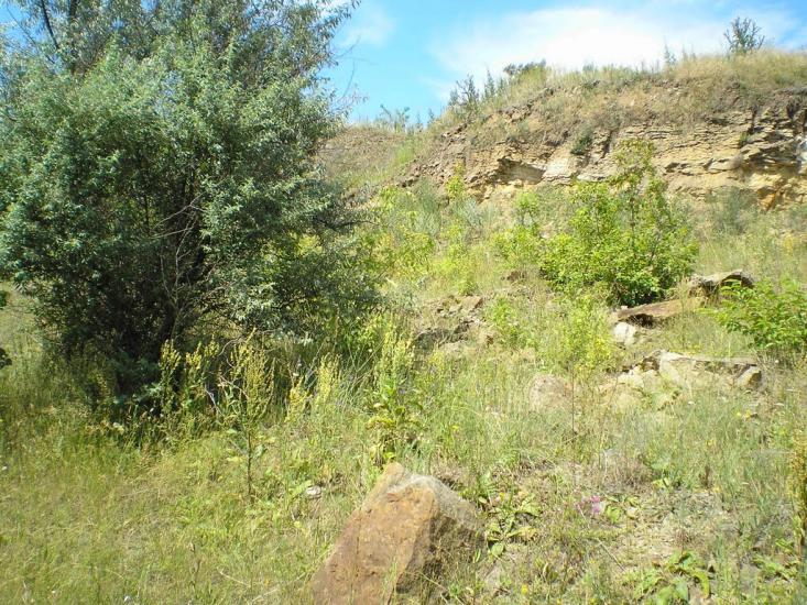 Кам'янка з panoramio.com - Кам'янка