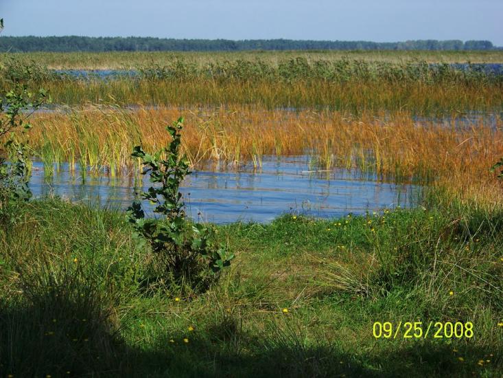 Пулемець з panoramio.com - Пулемець