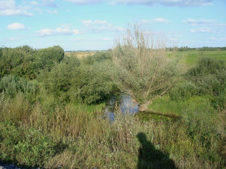 Зірка з panoramio.com - Зірка