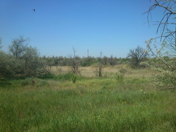 Орджонікідзе з panoramio.com - Орджоникидзе