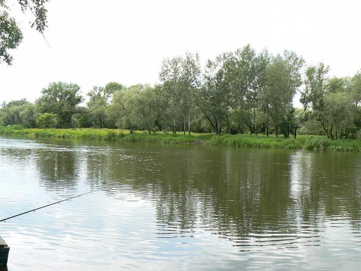 Стародубівка з panoramio.com - Стародубовка
