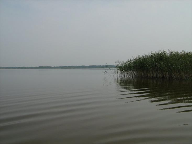 Згорани з panoramio.com - Згораны