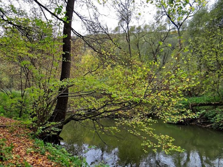 Іванківці з panoramio.com - Иванковцы