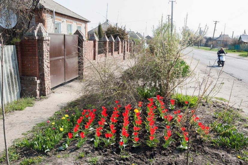 Печеніги з panoramio.com - Печениги