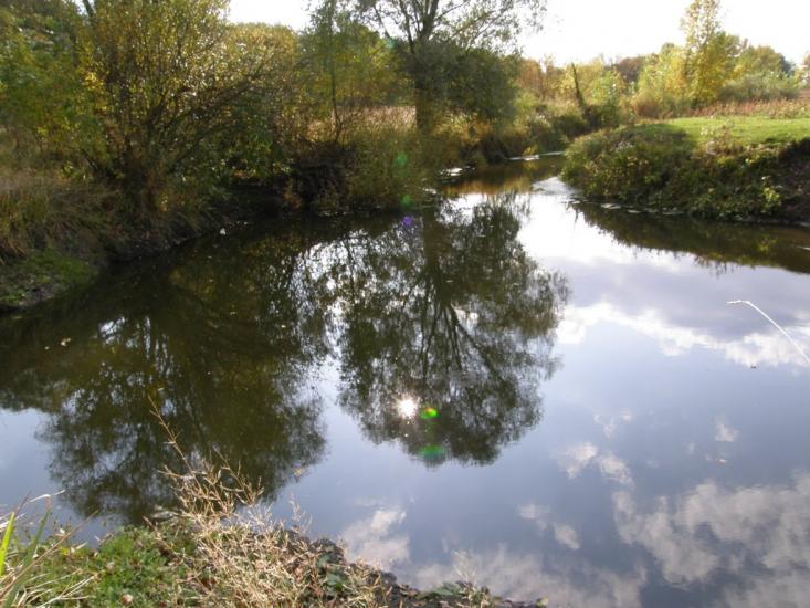 Солоницівка з panoramio.com - Солоницевка