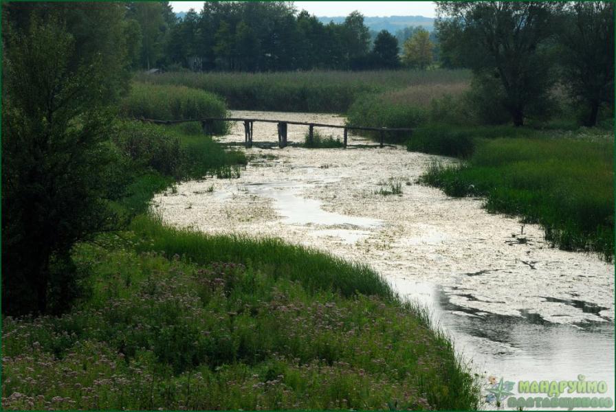 Лушники з panoramio.com - Lushnyky