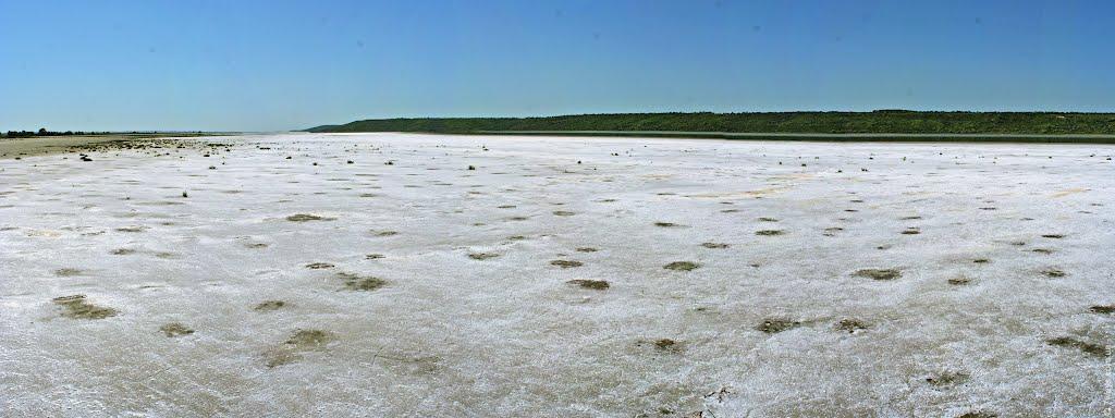 Нова Ковалівка з panoramio.com - Нова Ковалівка