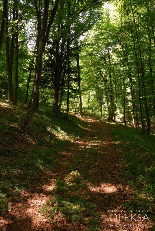 Багата Ущелина з panoramio.com - Bagata Uschelyna