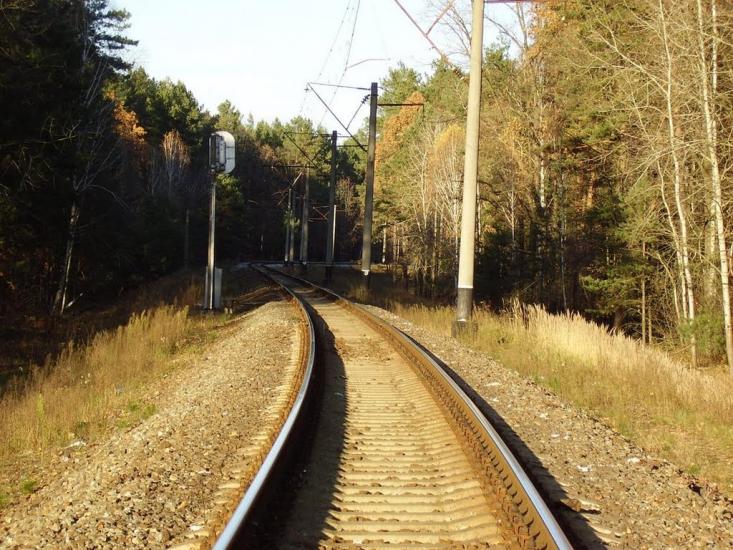 Княжичі з panoramio.com - Княжичі