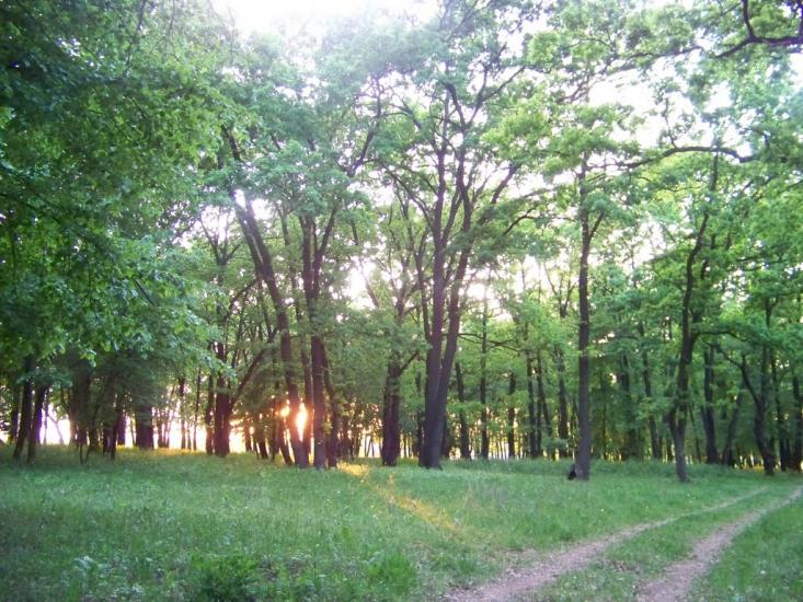 Сокиряни з panoramio.com - Сокиряны