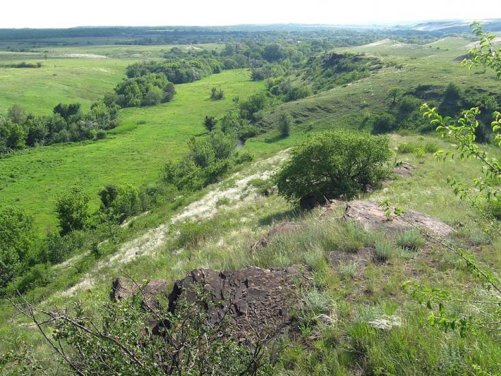 Кам'янка з panoramio.com - Кам'янка