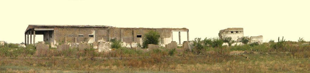 Павлівка з panoramio.com - Павловка