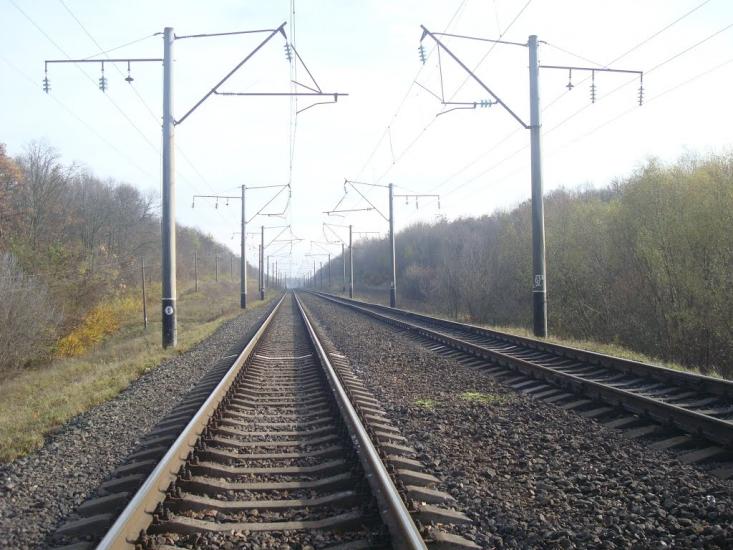 Рідкодуби з panoramio.com - Редкодубы