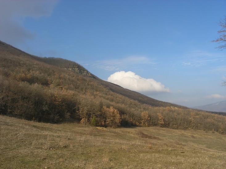 Новопілля з panoramio.com - Новополье
